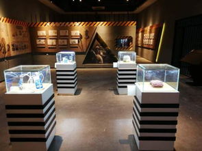 展会展厅装修设计展示设备制作工厂加工